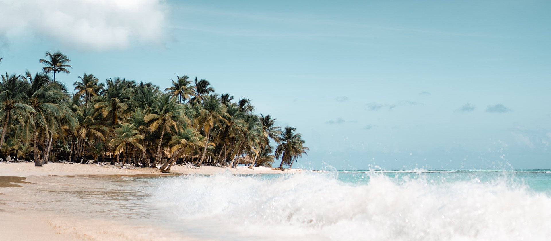 Palm trees line the beach and waves break on the shoreline