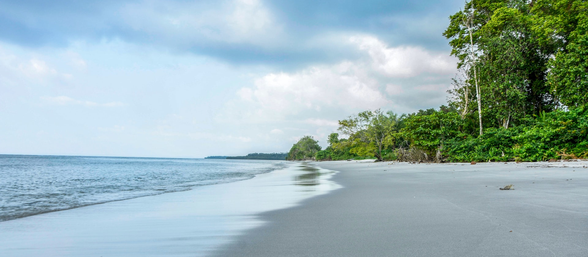 Green trees on the beach shore, Gabon