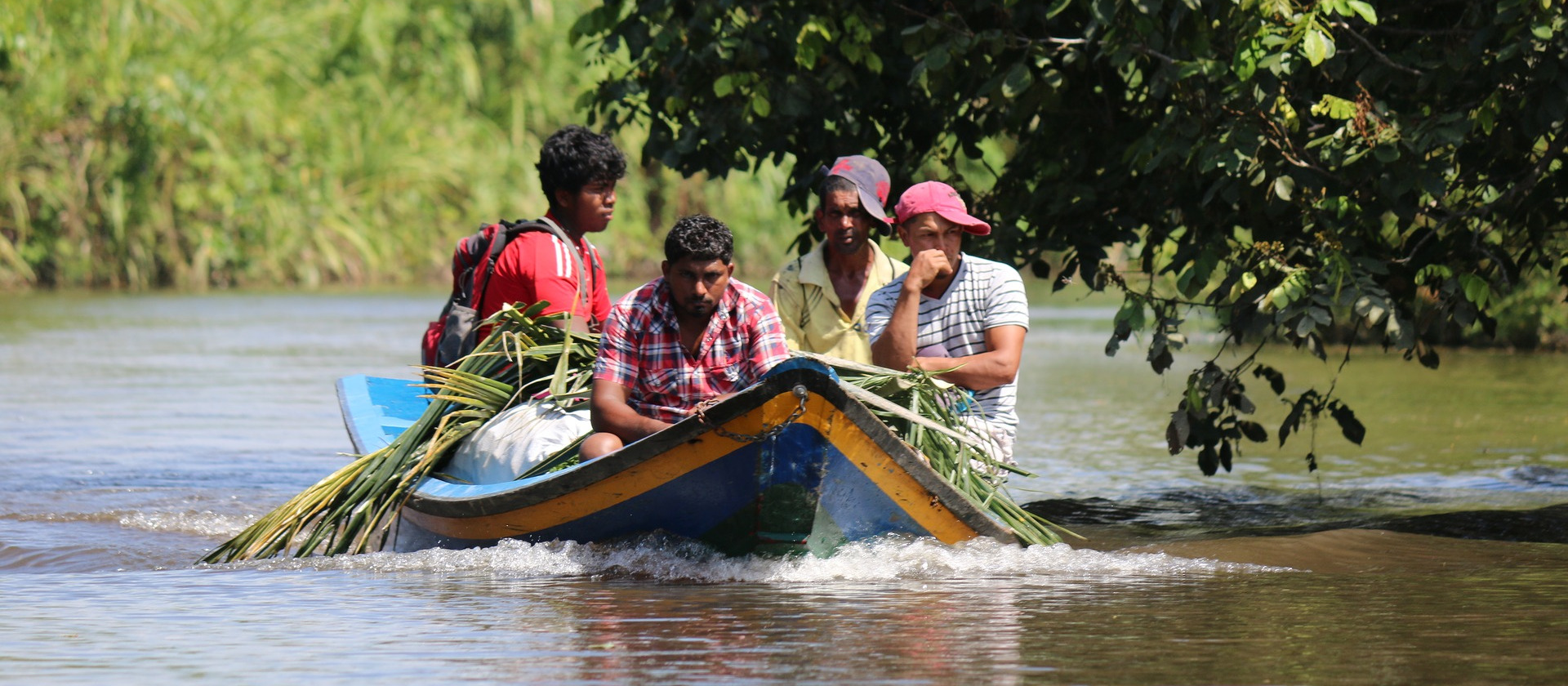 Men transporting sugarcane in a boat on a river in Guyana