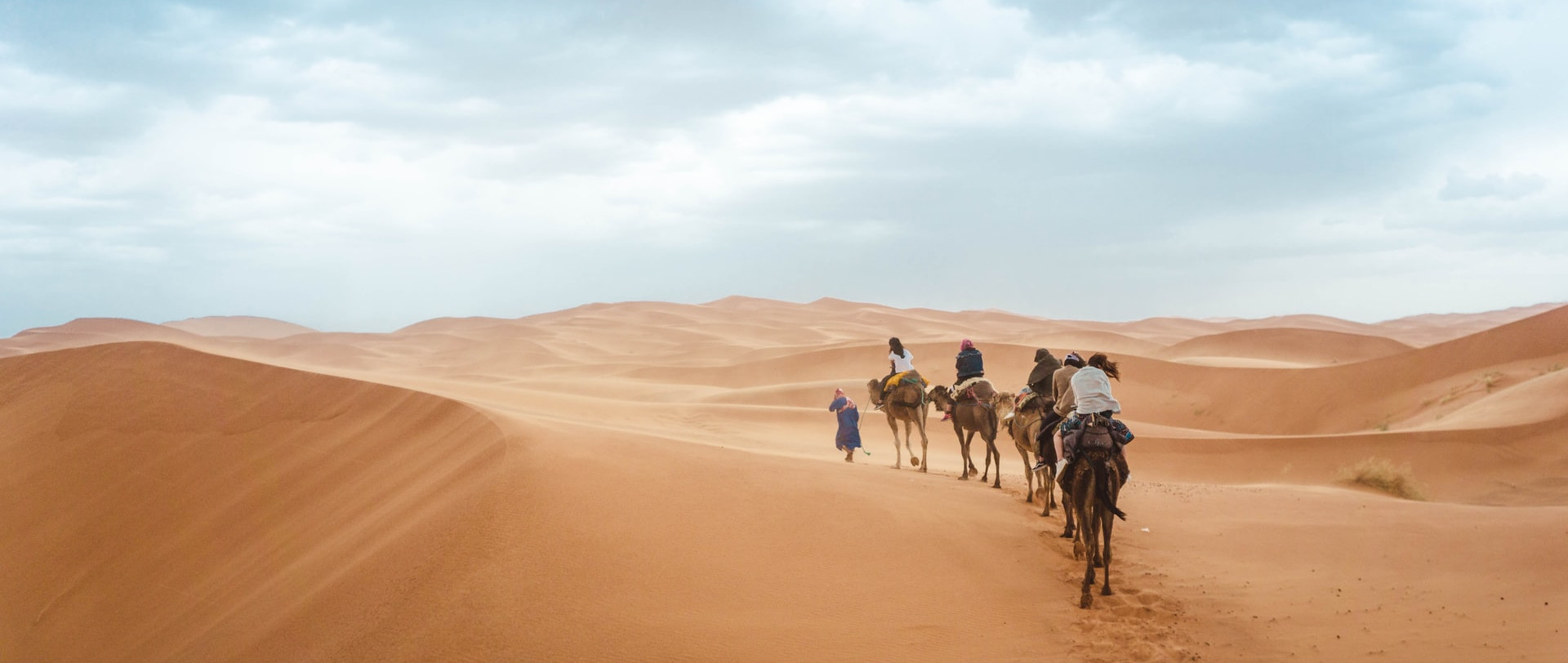 Camel trekking in Sahara desert, Morocco